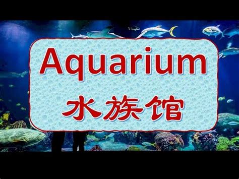 水缸英文|AQUARIUM中文(简体)翻译：剑桥词典